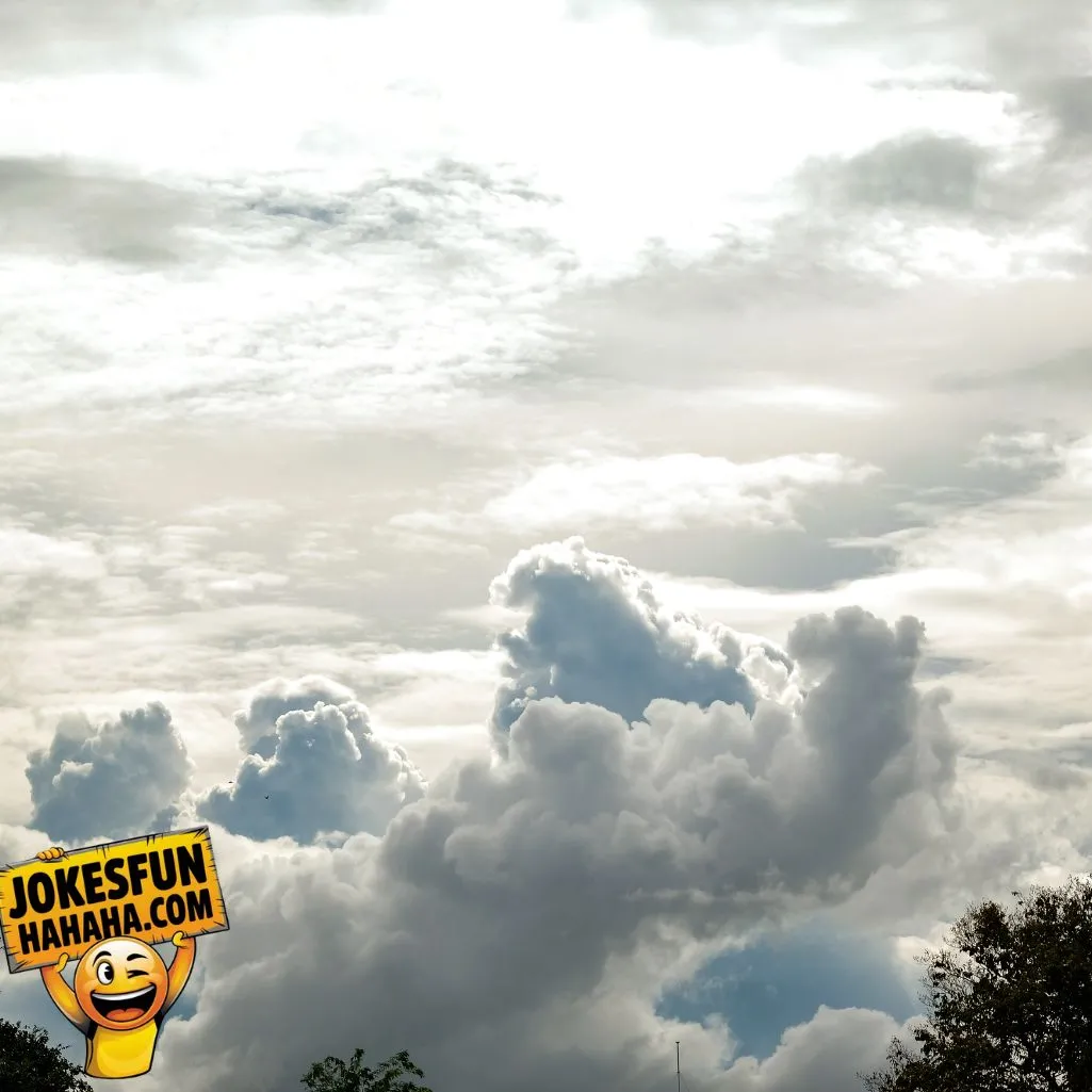 Cloudy With A Chance Of Jokes