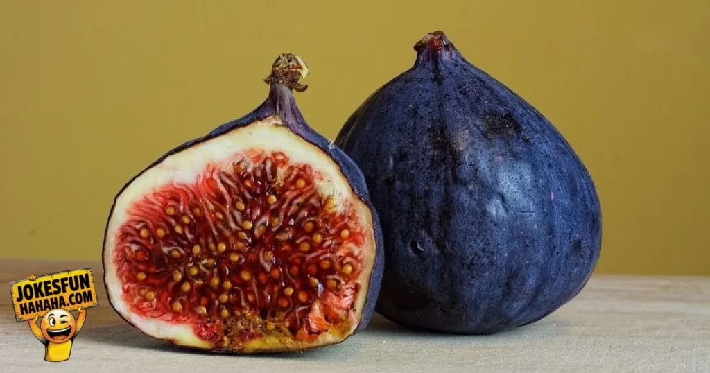 Fig Puns