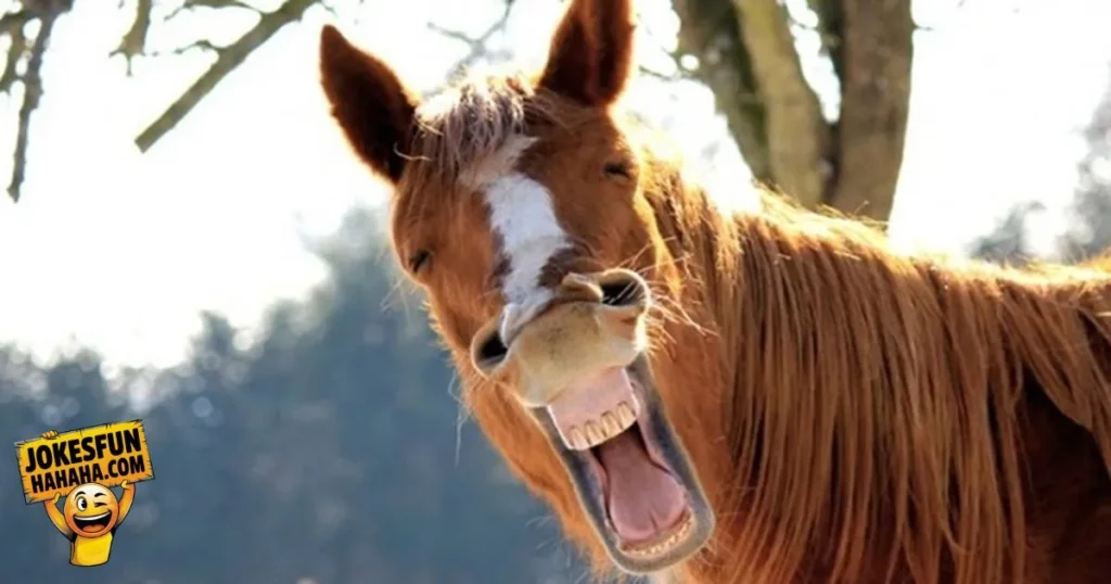Horse Puns