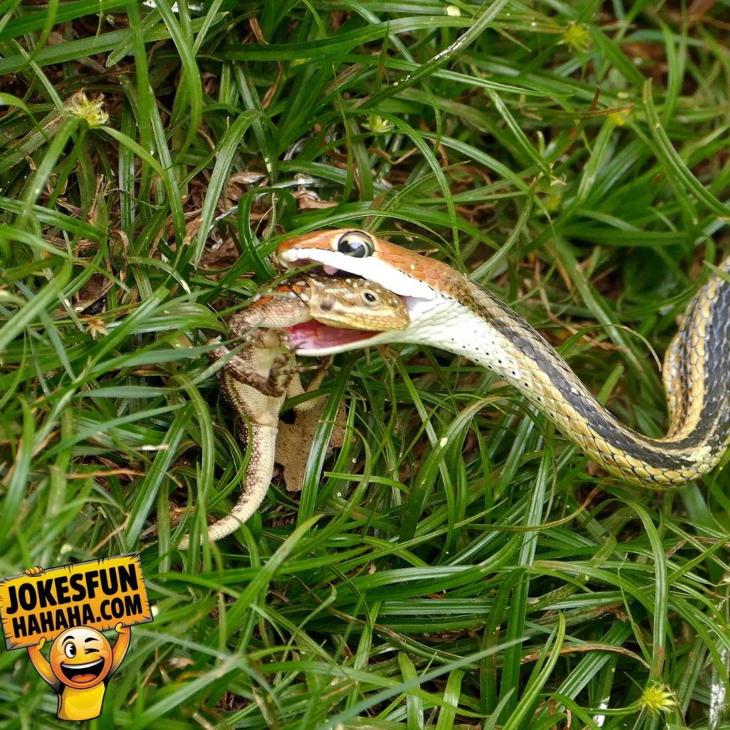 Snake Eat For Breakfast