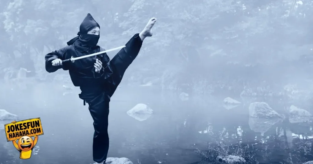 About Ninjas