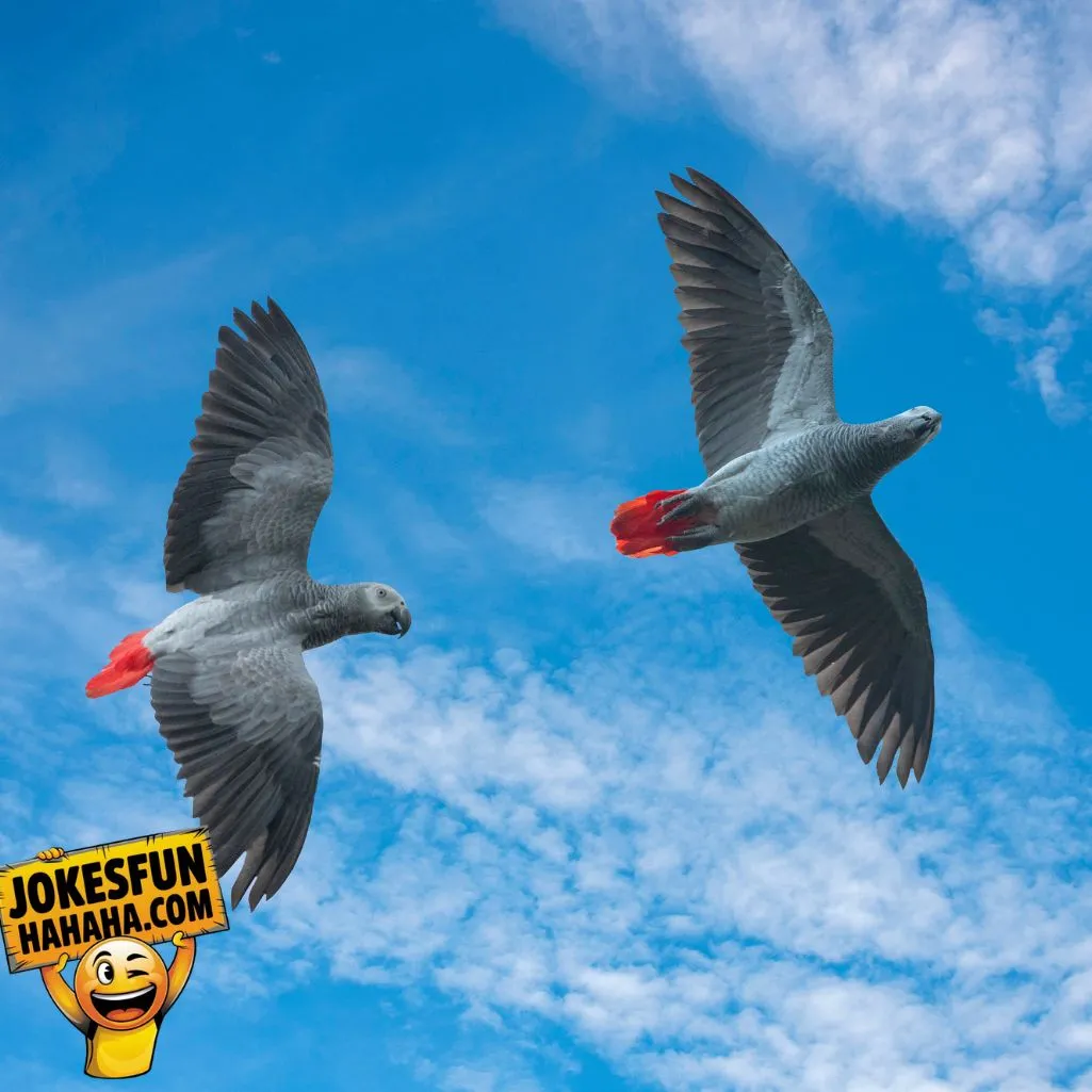 Birds Fly South In The Winter
