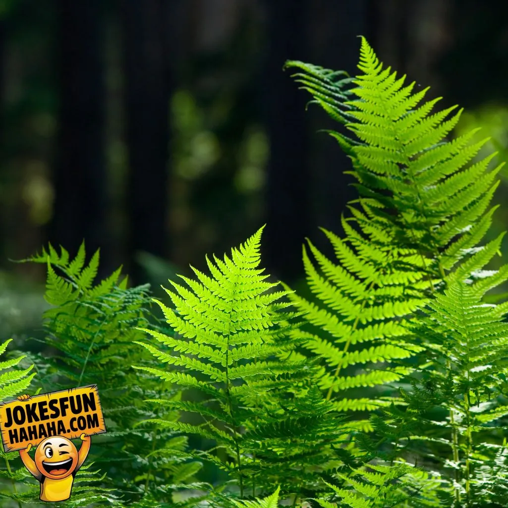 Fern Puns