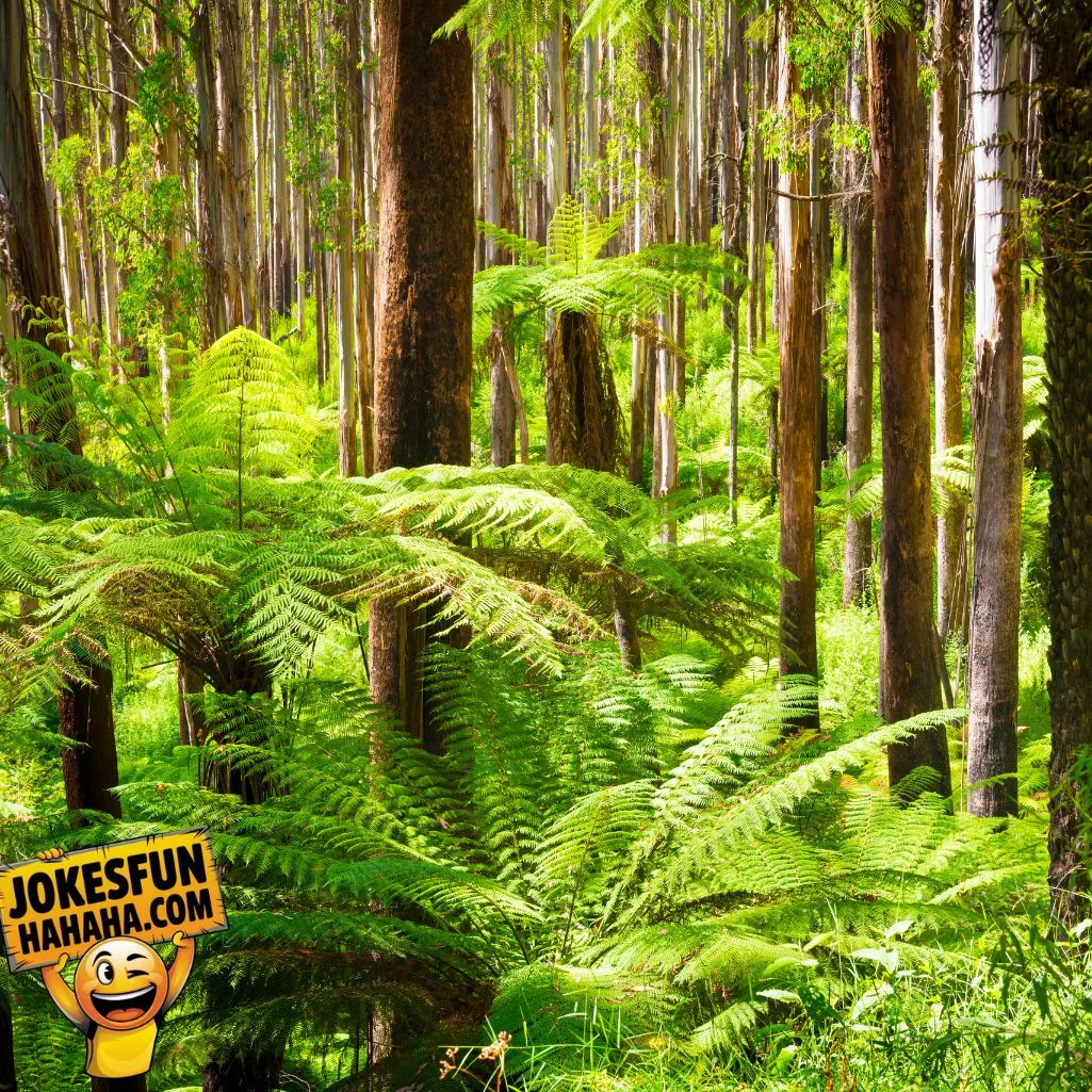 Ferns Get Nervous On Stage