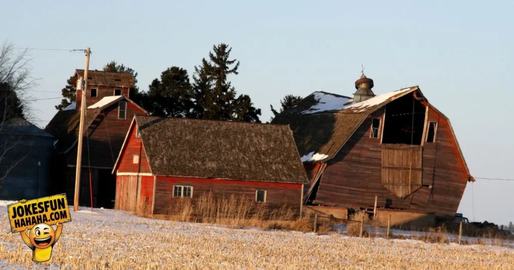 About Barns