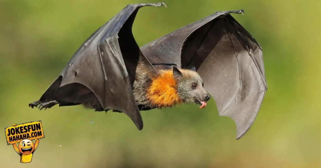 Bat Puns