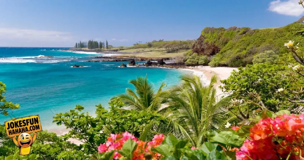 Hawaii Puns